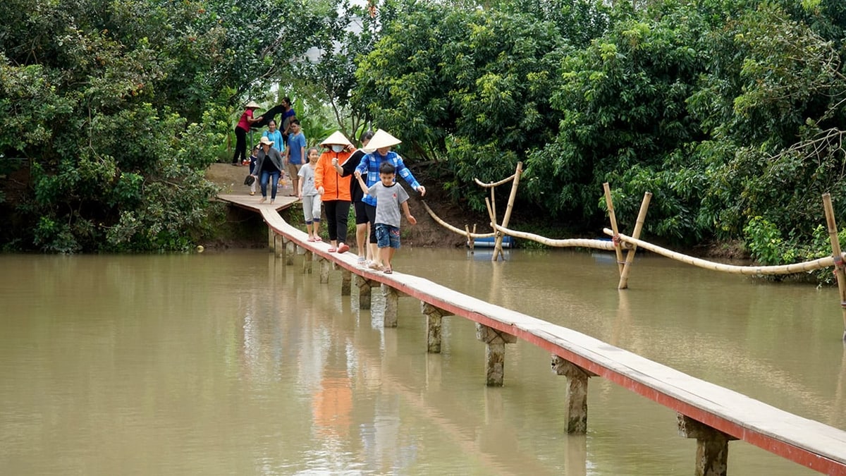 Cù lao Mây 